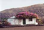 La Geria Lanzarote