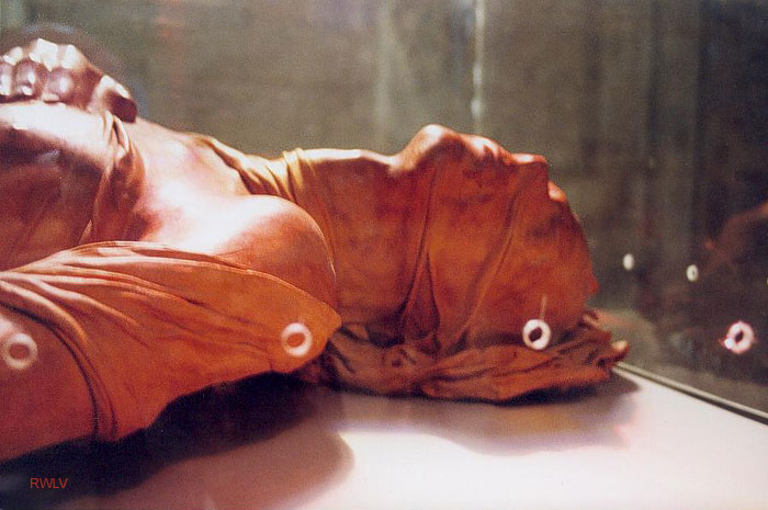 gisant de cuir, de Bruno Baratier, Lectoure (Gers)