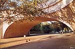 le pont Wilson a Tours Touraine France