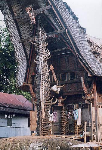 tongkonan toraja de Sulawesi
