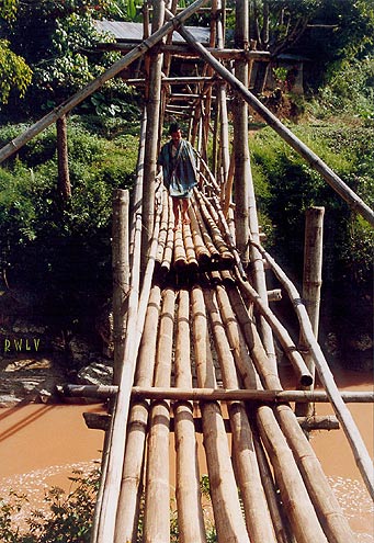 toraja bamboo footbridge Sulawesi